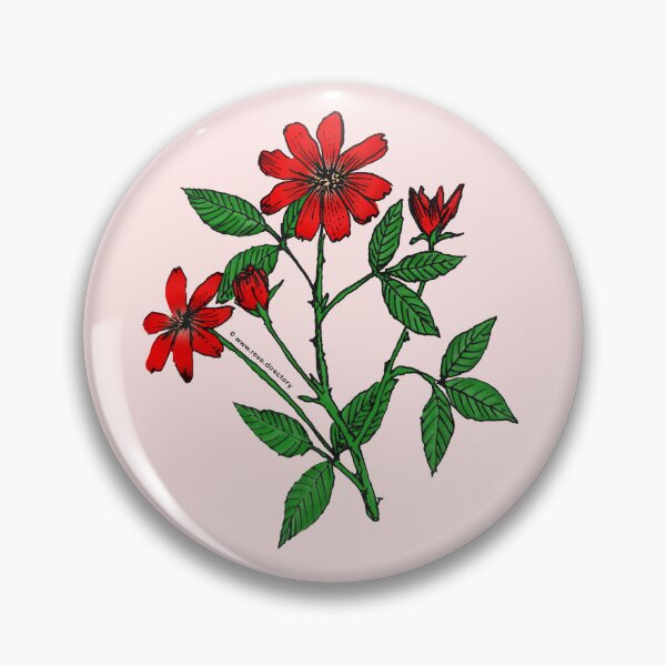 Item preview, Bright Red Pompon Rose Bloom Single 1-7 Petals Almost Flat designed and sold by Rachael Taylor.