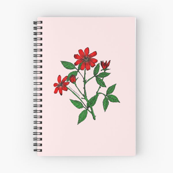 Item preview, Bright Red Pompon Rose Bloom Single 1-7 Petals Almost Flat designed and sold by Rachael Taylor.
