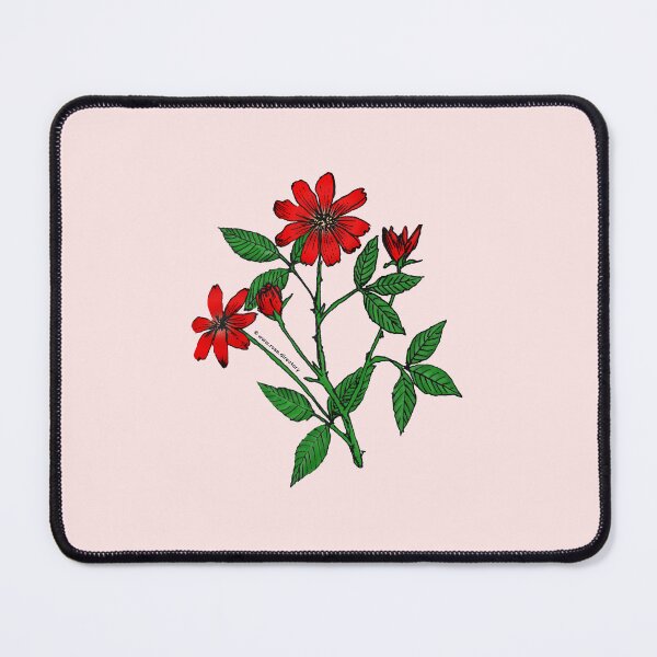 Item preview, Bright Red Pompon Rose Bloom Single 1-7 Petals Almost Flat designed and sold by Rachael Taylor.