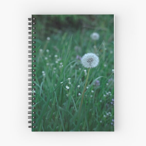 Item preview, Evening dandelion designed and sold by tuzlay.