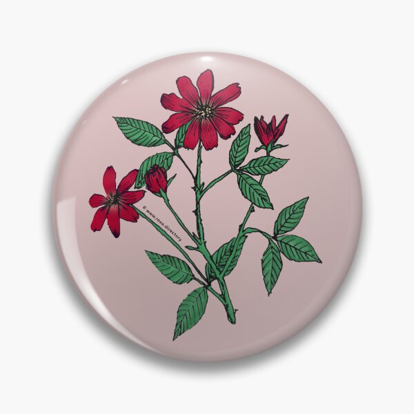 Item preview, Dark Red Pompon Rose Bloom Single 1-7 Petals Almost Flat designed and sold by Rachael Taylor.