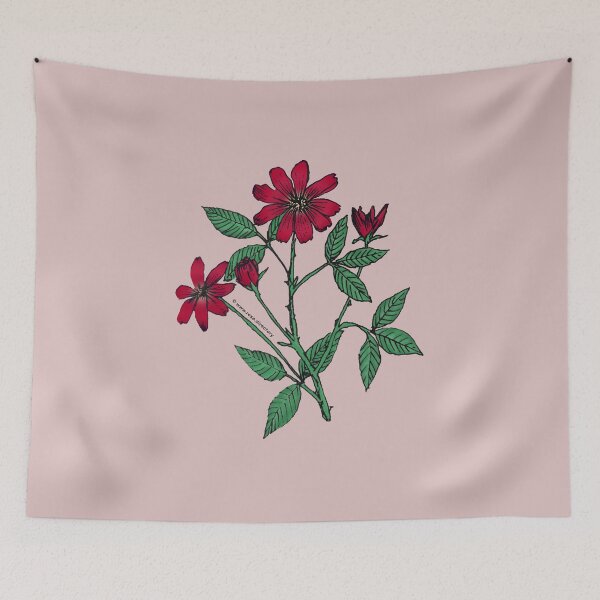 Item preview, Dark Red Pompon Rose Bloom Single 1-7 Petals Almost Flat designed and sold by zenithcreative.