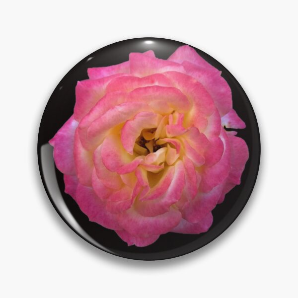 Item preview, Rose designed and sold by ascherf.