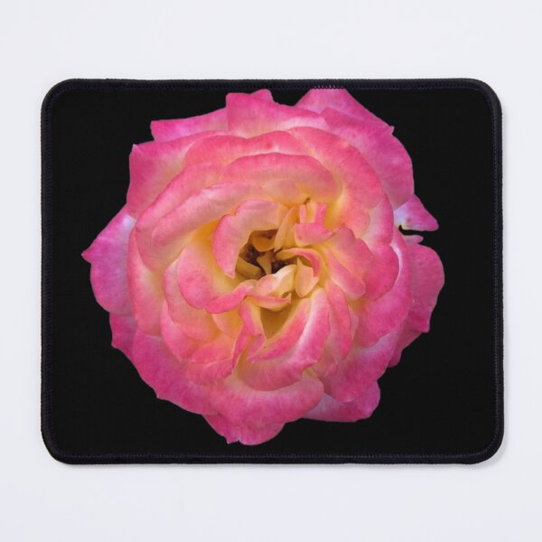 Item preview, Rose designed and sold by ascherf.