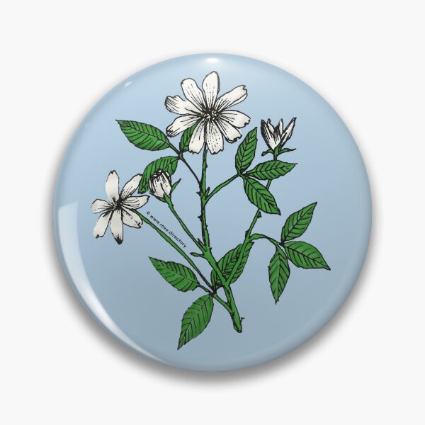 Item preview, White Pompon Rose Bloom Single 1-7 Petals Almost Flat designed and sold by Rachael Taylor.