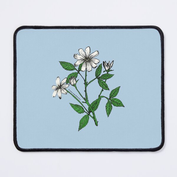 Item preview, White Pompon Rose Bloom Single 1-7 Petals Almost Flat designed and sold by Rachael Taylor.
