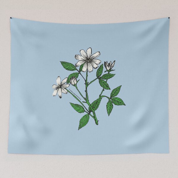 Item preview, White Pompon Rose Bloom Single 1-7 Petals Almost Flat designed and sold by zenithcreative.