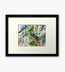 Darn Dragonfly Framed Print