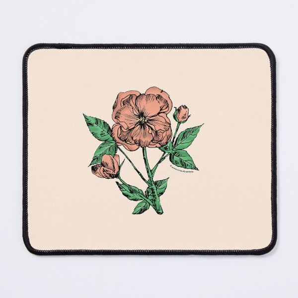 Item preview, Apricot Pompon Rose Bloom Semi-Double 8-15 Petals In 2 Rows designed and sold by Rachael Taylor.