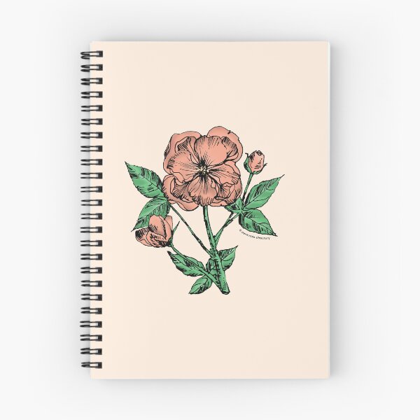 Item preview, Apricot Pompon Rose Bloom Semi-Double 8-15 Petals In 2 Rows designed and sold by Rachael Taylor.
