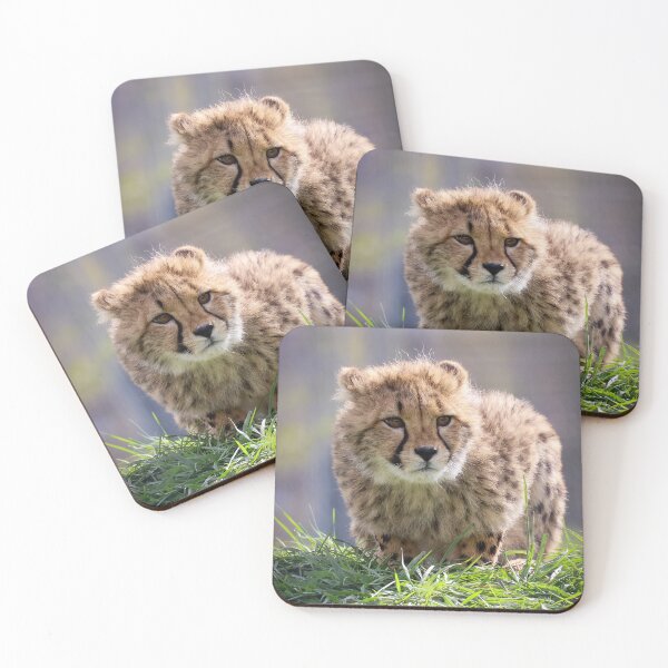 Item preview, Cheetah Cub designed and sold by Alan Sabatino Photography.