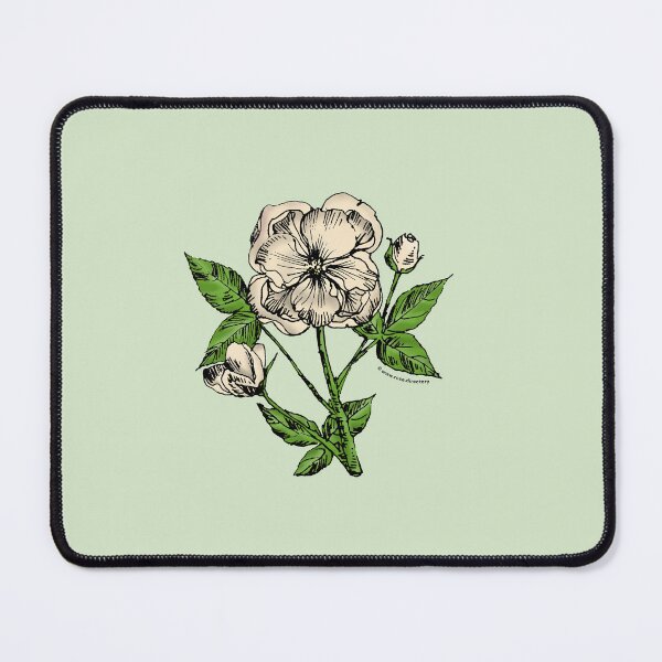 Item preview, Cream Pompon Rose Bloom Semi-Double 8-15 Petals In 2 Rows designed and sold by Rachael Taylor.
