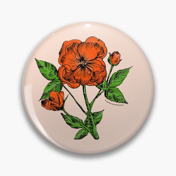 Item preview, Orange Pompon Rose Bloom Semi-Double 8-15 Petals In 2 Rows designed and sold by Rachael Taylor.