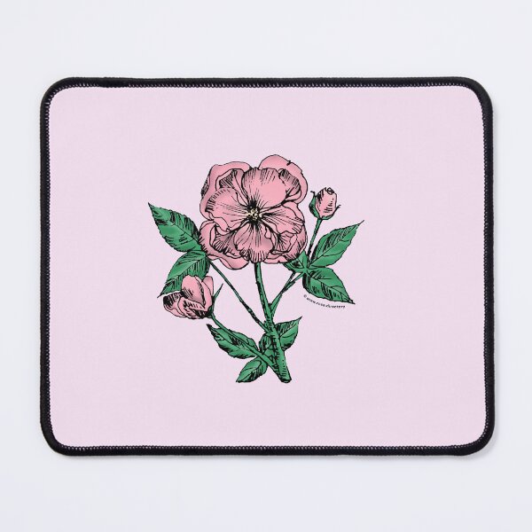 Item preview, Light Pink Pompon Rose Bloom Semi-Double 8-15 Petals In 2 Rows designed and sold by Rachael Taylor.