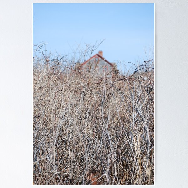 Item preview, Cape Cod Image designed and sold by Peter DiFranco.