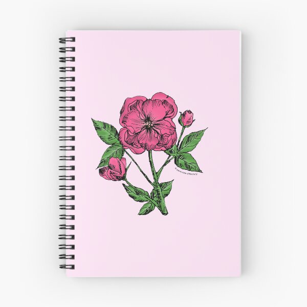 Item preview, Mid Pink Pompon Rose Bloom Semi-Double 8-15 Petals In 2 Rows designed and sold by Rachael Taylor.