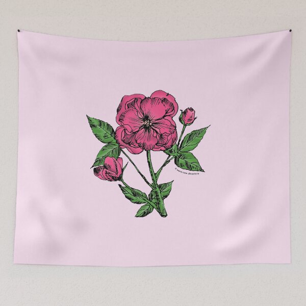 Item preview, Mid Pink Pompon Rose Bloom Semi-Double 8-15 Petals In 2 Rows designed and sold by zenithcreative.