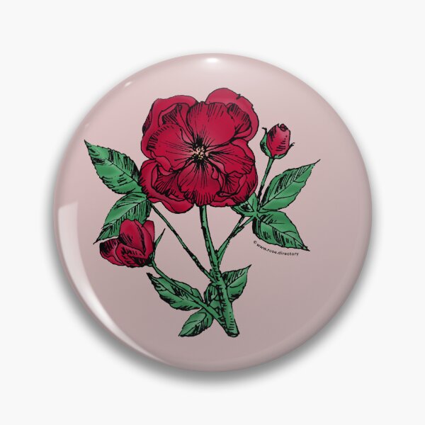 Item preview, Dark Red Pompon Rose Bloom Semi-Double 8-15 Petals In 2 Rows designed and sold by Rachael Taylor.