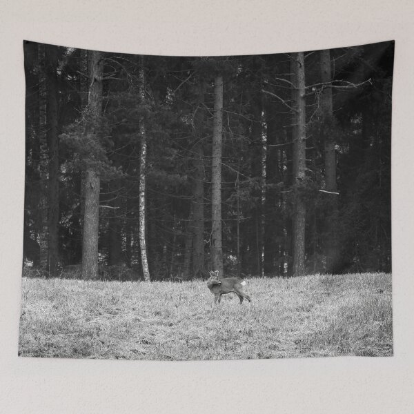 Item preview, Roebuck view. Roe deer designed and sold by Jouko Lehto Photography.