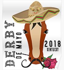 Cool Kentucky Horse Race Derby Day Cinco de Mayo 2018 Poster