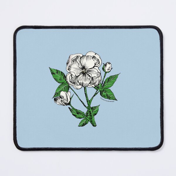 Item preview, White Pompon Rose Bloom Semi-Double 8-15 Petals In 2 Rows designed and sold by Rachael Taylor.