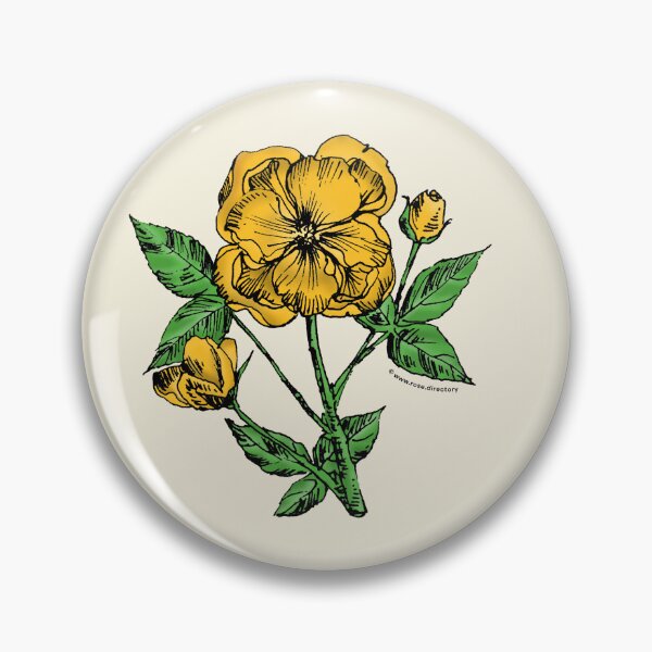 Item preview, Yellow Pompon Rose Bloom Semi-Double 8-15 Petals In 2 Rows designed and sold by Rachael Taylor.