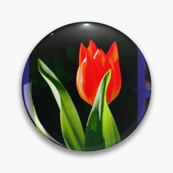 Item preview, Splendid Spring Impressions designed and sold by angel1.