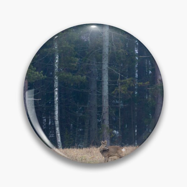 Item preview, Roebuck view. Roe deer designed and sold by Jouko Lehto Photography.