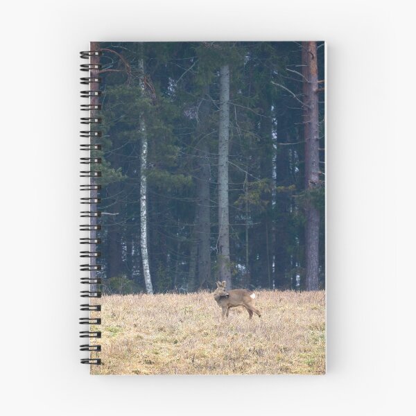 Item preview, Roebuck view. Roe deer designed and sold by Jouko Lehto Photography.