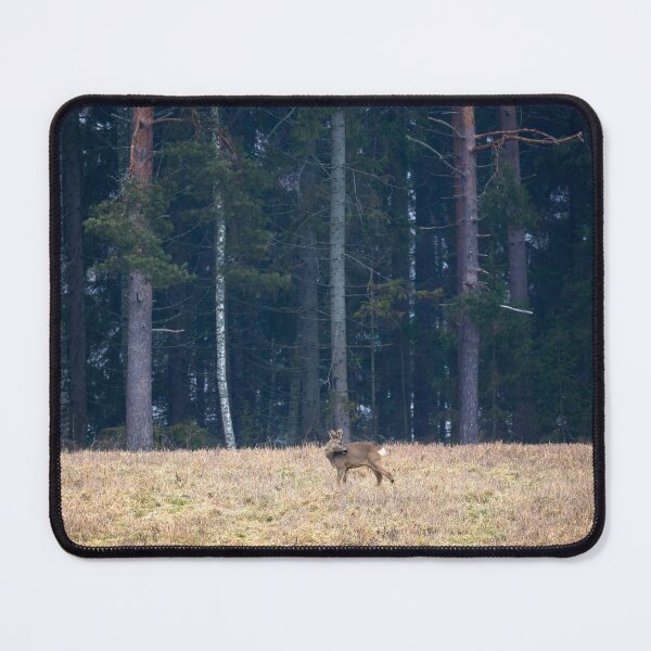 Item preview, Roebuck view. Roe deer designed and sold by Jouko Lehto Photography.
