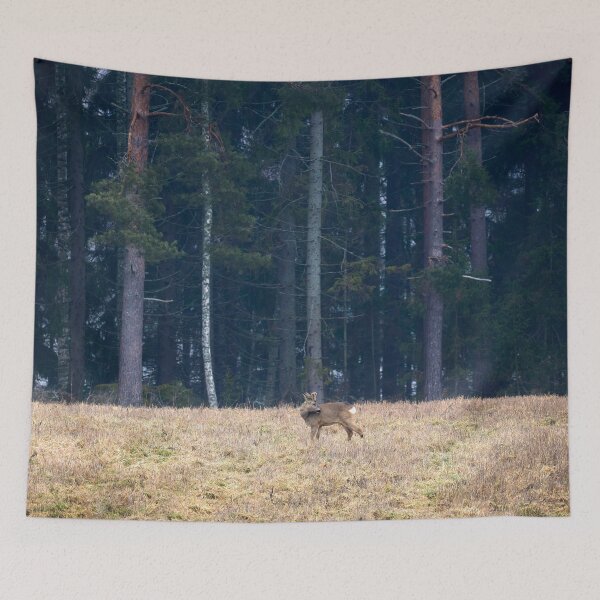 Item preview, Roebuck view. Roe deer designed and sold by Jouko Lehto Photography.