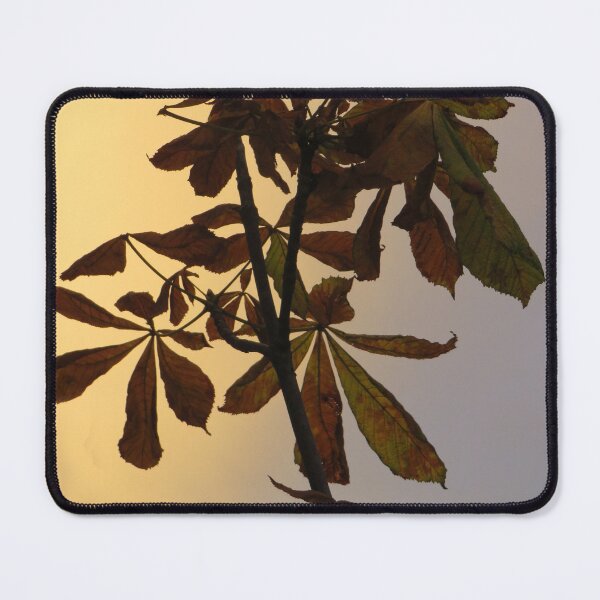 Item preview, leaves in a sunset designed and sold by Sandra Willis.