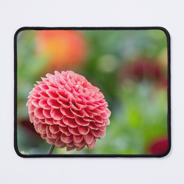Item preview, Bright and cheery pompom dahlia designed and sold by AnitaNicholson.