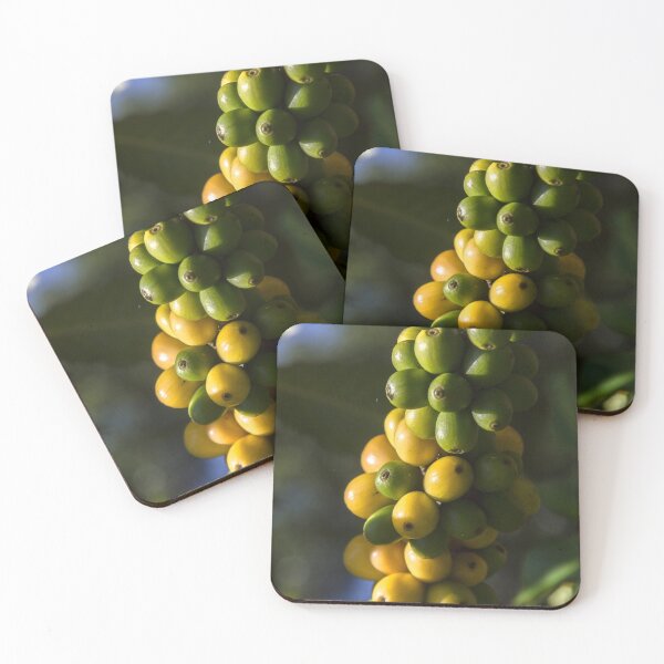 Item preview, coffee fruit. designed and sold by Nino rocha fotografia.