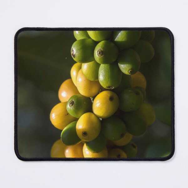 Item preview, coffee fruit. designed and sold by Nino rocha fotografia.