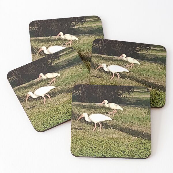 Item preview, American White Ibises designed and sold by RosetheOtter.