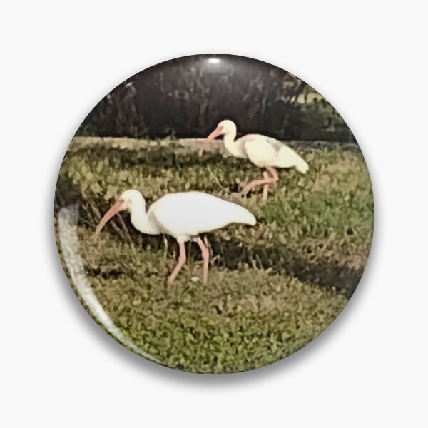 Item preview, American White Ibises designed and sold by RosetheOtter.