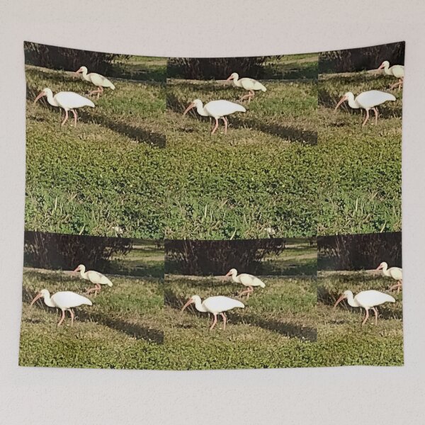 Item preview, American White Ibises designed and sold by RosetheOtter.