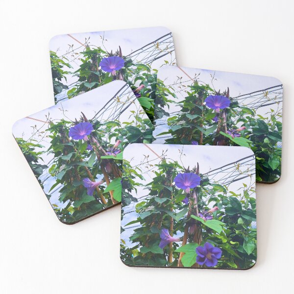 Item preview, Morning Glories designed and sold by LaurenPatrick.