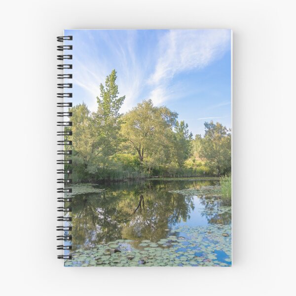 Item preview, Tree Reflecting in a Pond designed and sold by jrtwynam.