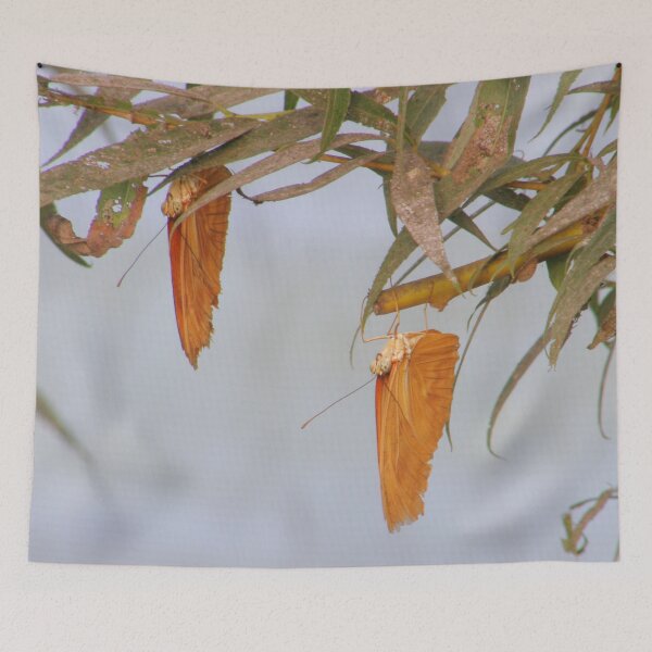 Item preview, Hanging Butterflies designed and sold by Len Bomba.