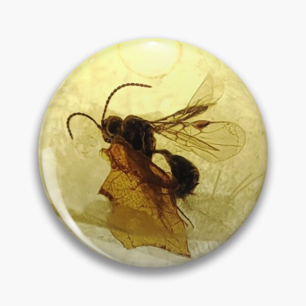 Item preview, nclusion of an insect, amber, wasp, bee, insect in amber designed and sold by Aroczan.
