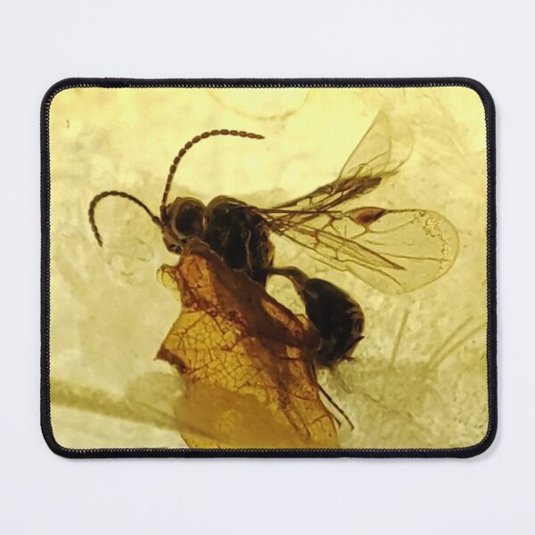Item preview, nclusion of an insect, amber, wasp, bee, insect in amber designed and sold by Aroczan.