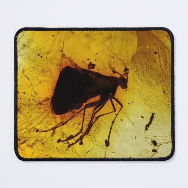 Item preview, Inclusion of an insect, amber, fly, insect in amber designed and sold by Aroczan.