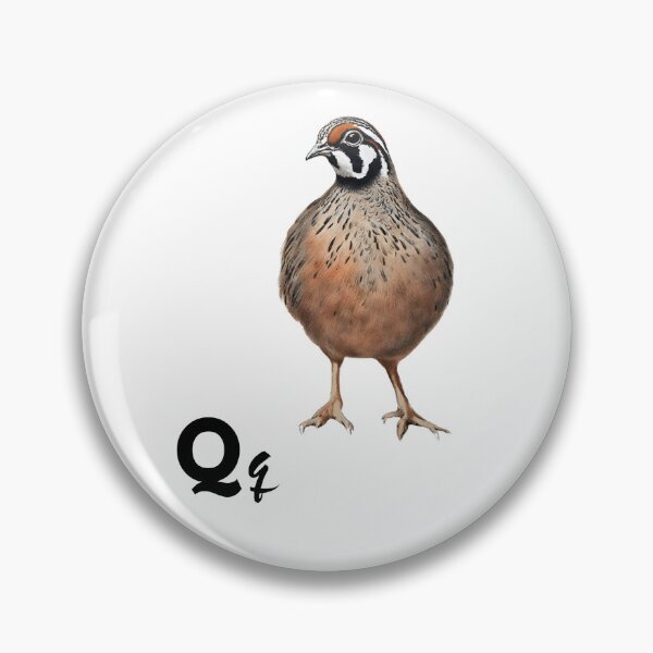Item preview, Quail designed and sold by Majestic7.
