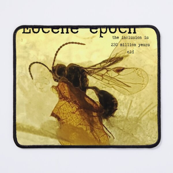 Item preview, Copy of nclusion of an insect, amber, wasp, bee, insect in amber designed and sold by Aroczan.