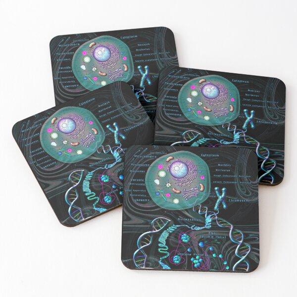 Item preview, Animal Diagram designed and sold by Pebbledrops.