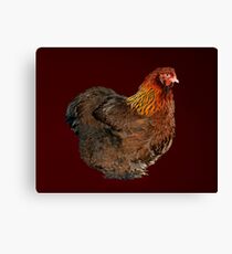 Partridge Cochin Pullet Canvas Print