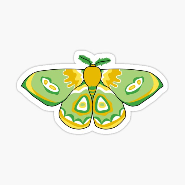 Item preview, Aromantic Allosexual Pride Moth  designed and sold by Fave101.