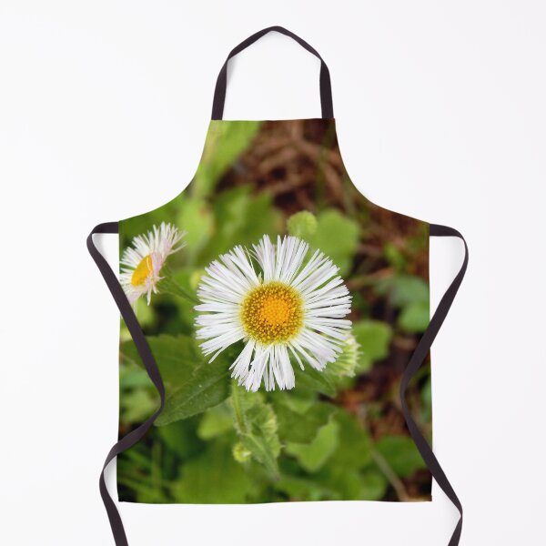 Item preview, Philadelphia Fleabane designed and sold by gistinker.